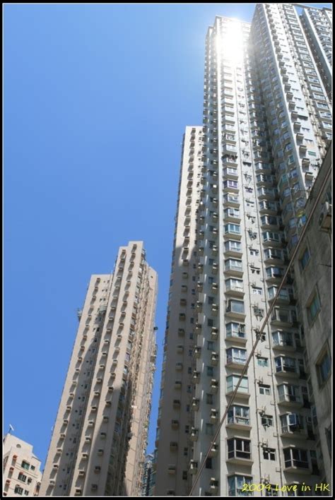 香港高樓大廈 陽台可以種什麼
